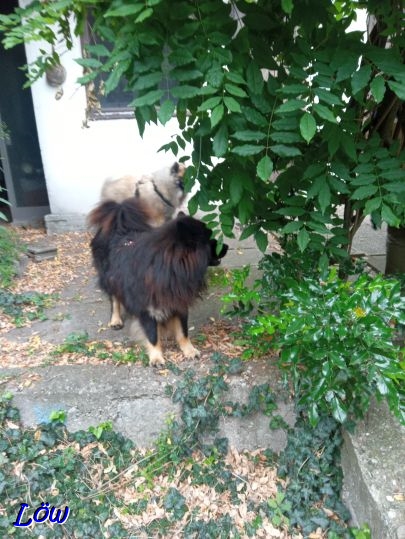 23.8.2025 - Im Garten